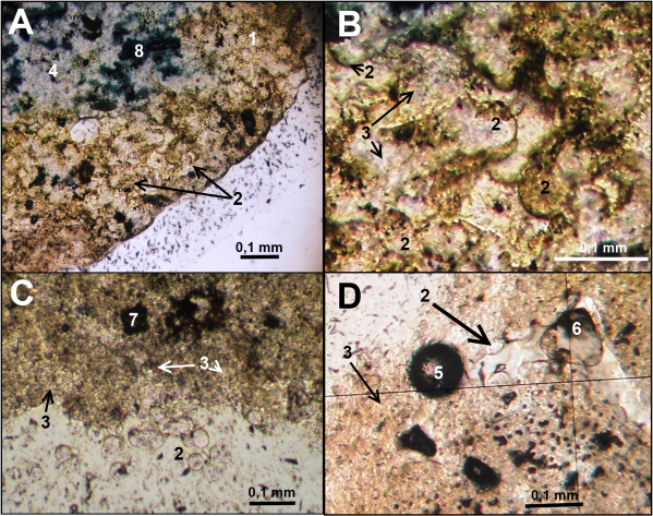 Figure 29 g
