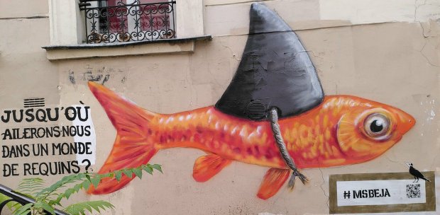TERREUR ! TERRORSME ! TERRORISTE !