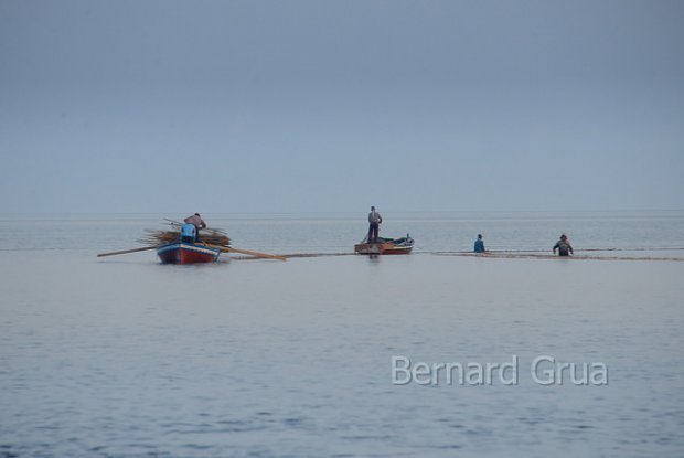  Bernard Grua - Pche en mer  la sautade dans l'archipel des Kerkennah - Agorvox 