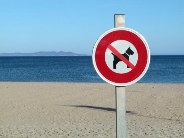 Panneau d'interdiction d'accès des chiens sur une plage {JPEG}