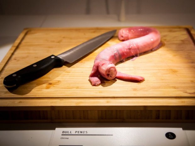 Bull Penis Le musée de la nourriture dégo�&nbsp;»tant