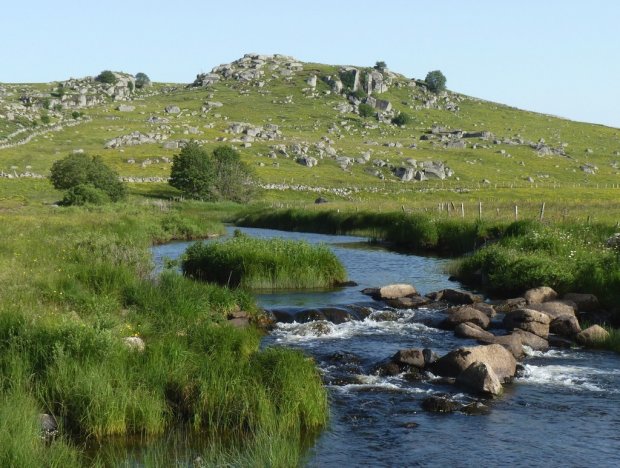 Aubrac : du granit, des vaches, et une incomparable sérénité