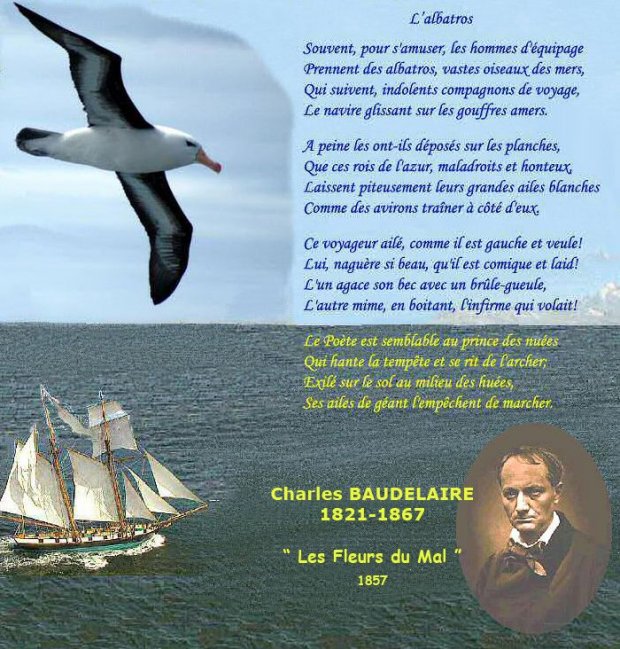 L'albatros de Baudelaire ou la sauvegarde de l'âme du monde