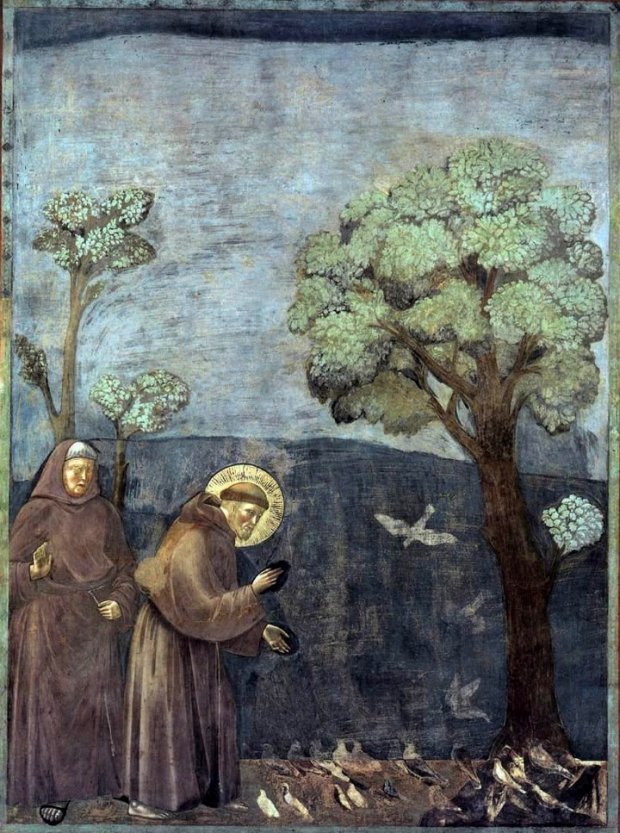 Giotto - Saint François d'Assise - Sermon aux Oiseaux (Wiki Commons)