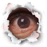 mobiluxe